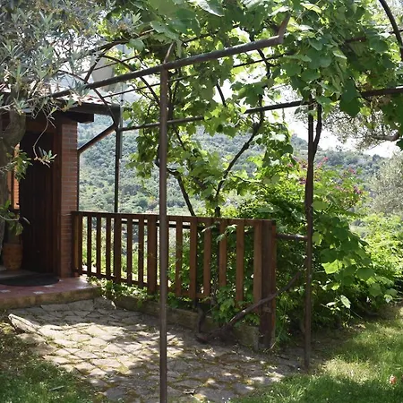 Chalet Tra Gli Ulivi: • Giardino • Wifi • A/c • Bbq * Capri Leone