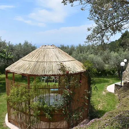 Chalet Tra Gli Ulivi: • Giardino • Wifi • A/c • Bbq Chalet *