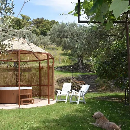 Chalet Tra Gli Ulivi: • Giardino • Wifi • A/c • Bbq Chalet