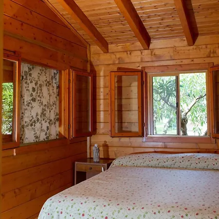 Chalet Tra Gli Ulivi: • Giardino • Wifi • A/c • Bbq Chalet *