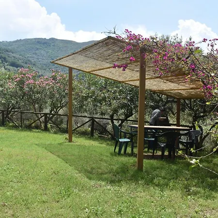Chalet Tra Gli Ulivi: • Giardino • Wifi • A/c • Bbq Chalet *