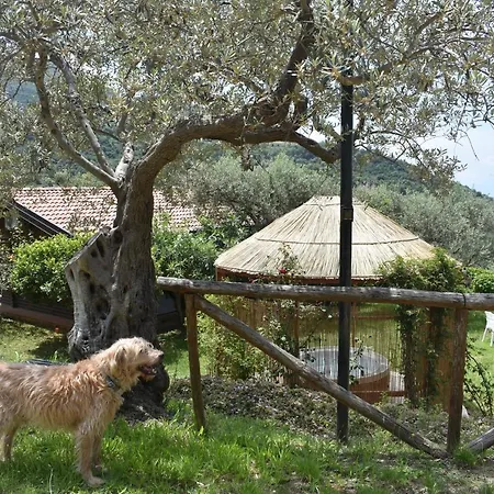 Chalet Chalet Tra Gli Ulivi: • Giardino • Wifi • A/c • Bbq *