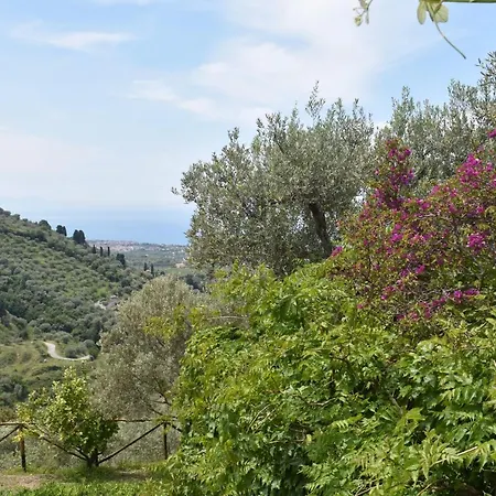 Chalet Tra Gli Ulivi: • Giardino • Wifi • A/c • Bbq Chalet