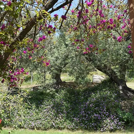 Chalet Tra Gli Ulivi: • Giardino • Wifi • A/c • Bbq Chalet *