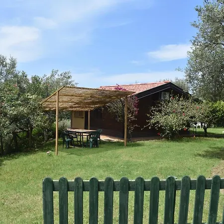 Chalet Tra Gli Ulivi: • Giardino • Wifi • A/c • Bbq Chalet *