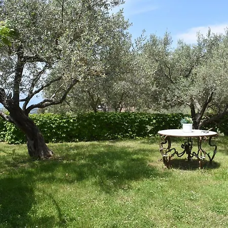 Chalet Tra Gli Ulivi: • Giardino • Wifi • A/c • Bbq