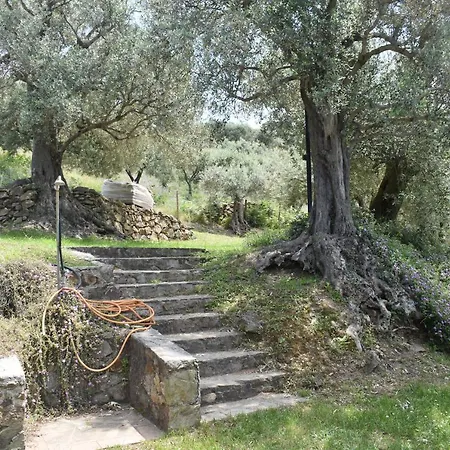 Chalet Tra Gli Ulivi: • Giardino • Wifi • A/c • Bbq Capri Leone
