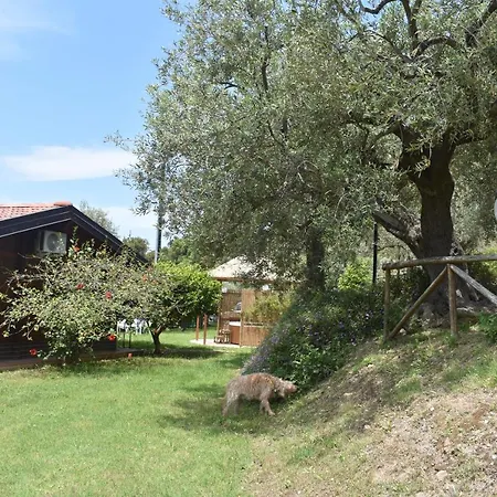 Chalet Tra Gli Ulivi: • Giardino • Wifi • A/c • Bbq Chalet