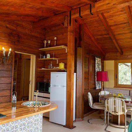 Chalet Tra Gli Ulivi: • Giardino • Wifi • A/c • Bbq Chalet *